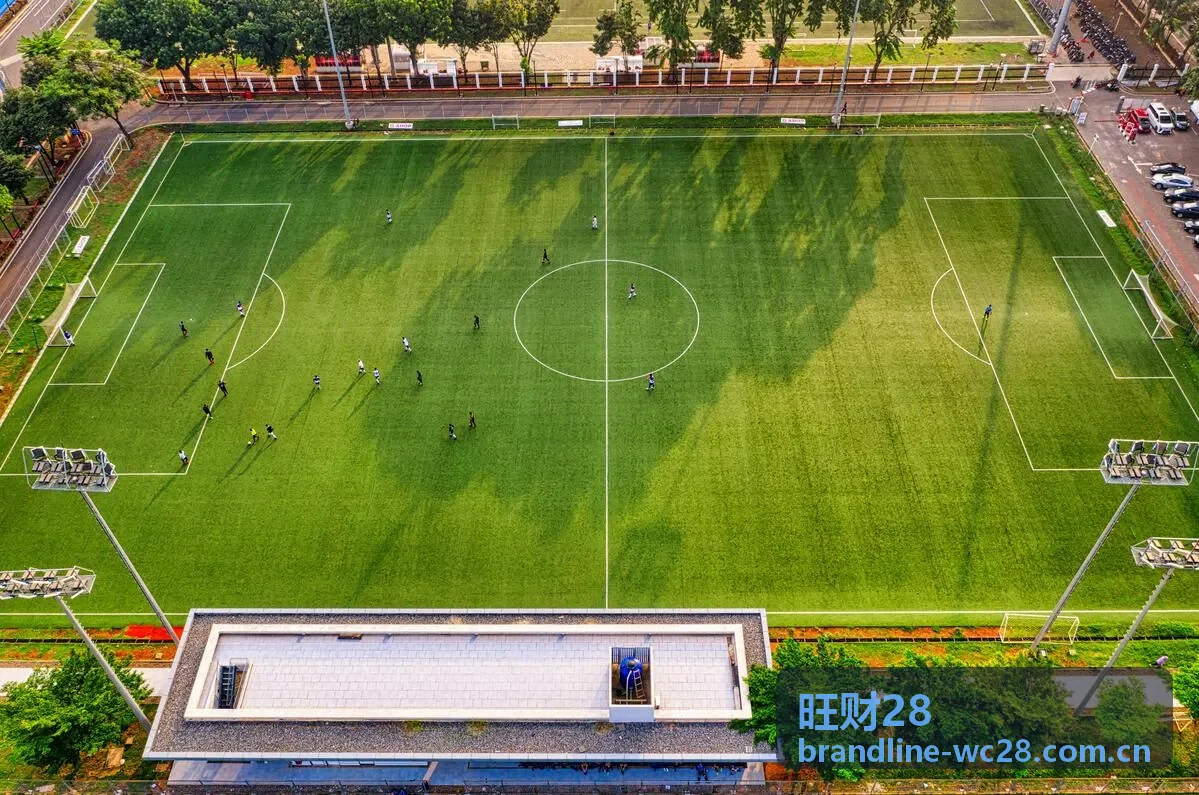 旺财28理性参与与资金管理建议